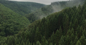 2025-2030 CSR Roadmap in video - Sediver