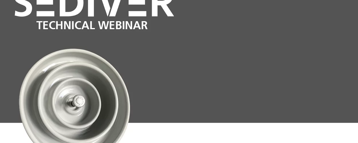 Technical webinar: Insulation solution for polluted environments the case of RTV silicone coat - Sediver
