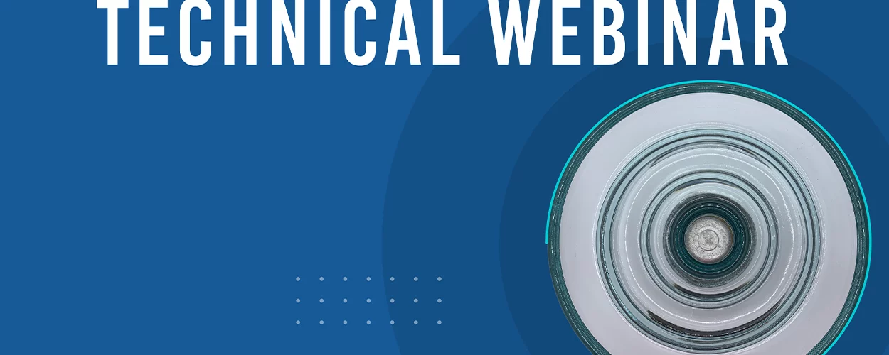 Technical webinar: Insulation solution for polluted environments, the case of RTV silicone coated insulators - Sediver